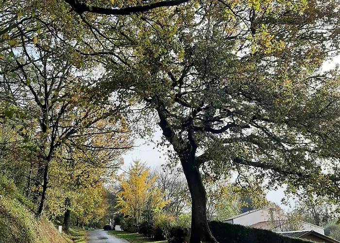 Maison Renovee Proche Du Rocher De Avec Wifi - Fr-1-426-587