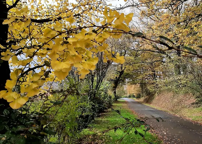 Maison Renovee Proche Du Rocher De Avec Wifi - Fr-1-426-587 Vakantiehuis *